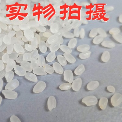 昊薇生态大米 生态胚芽米辅食米粥新大米1斤500g米砖 东北米图4