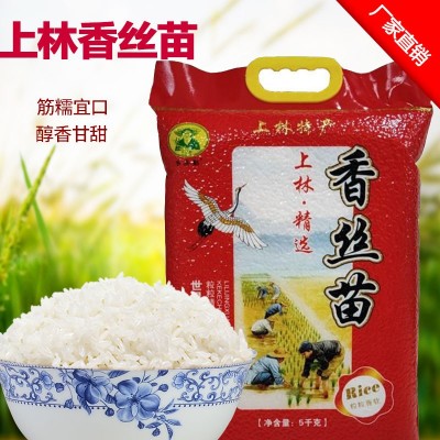 广西上林香丝苗米10斤软糯优质大米2023新米长粒香大米厂家直销