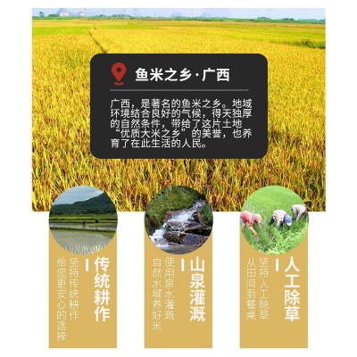 广西丝苗米2023年新米软糯清香农家优质十斤装大米长粒香油粘米图3