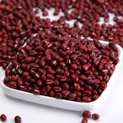 现货批发红小豆 东北大粒红豆沙原料熬粥原料量大从优五谷杂粮图2