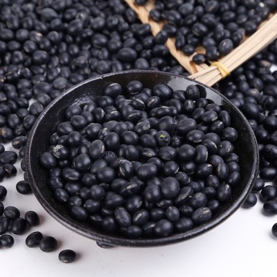 批发零售大黑豆绿心大黑豆五谷杂粮打豆浆磨粉量大从优图3