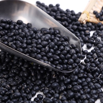 批发零售大黑豆绿心大黑豆五谷杂粮打豆浆磨粉量大从优图2
