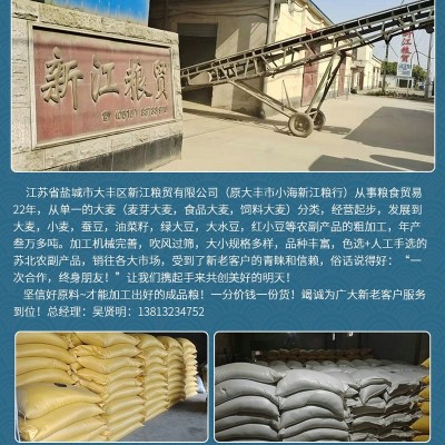 盐城地产大麦 苏北农户大麦无虫蛀无霉变 吹风过筛颗粒饱满批发图4