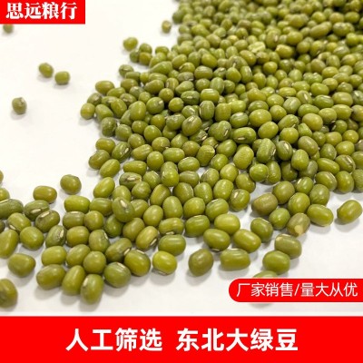 东北绿豆 磨粉绿豆 油绿豆 现货批发图2