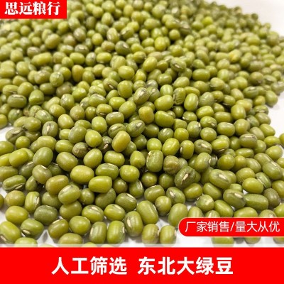 东北绿豆 磨粉绿豆 油绿豆 现货批发图4