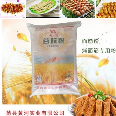 优质烤面筋粉 烤面筋粉生产厂家 黄河 优质烤面筋粉供应图5