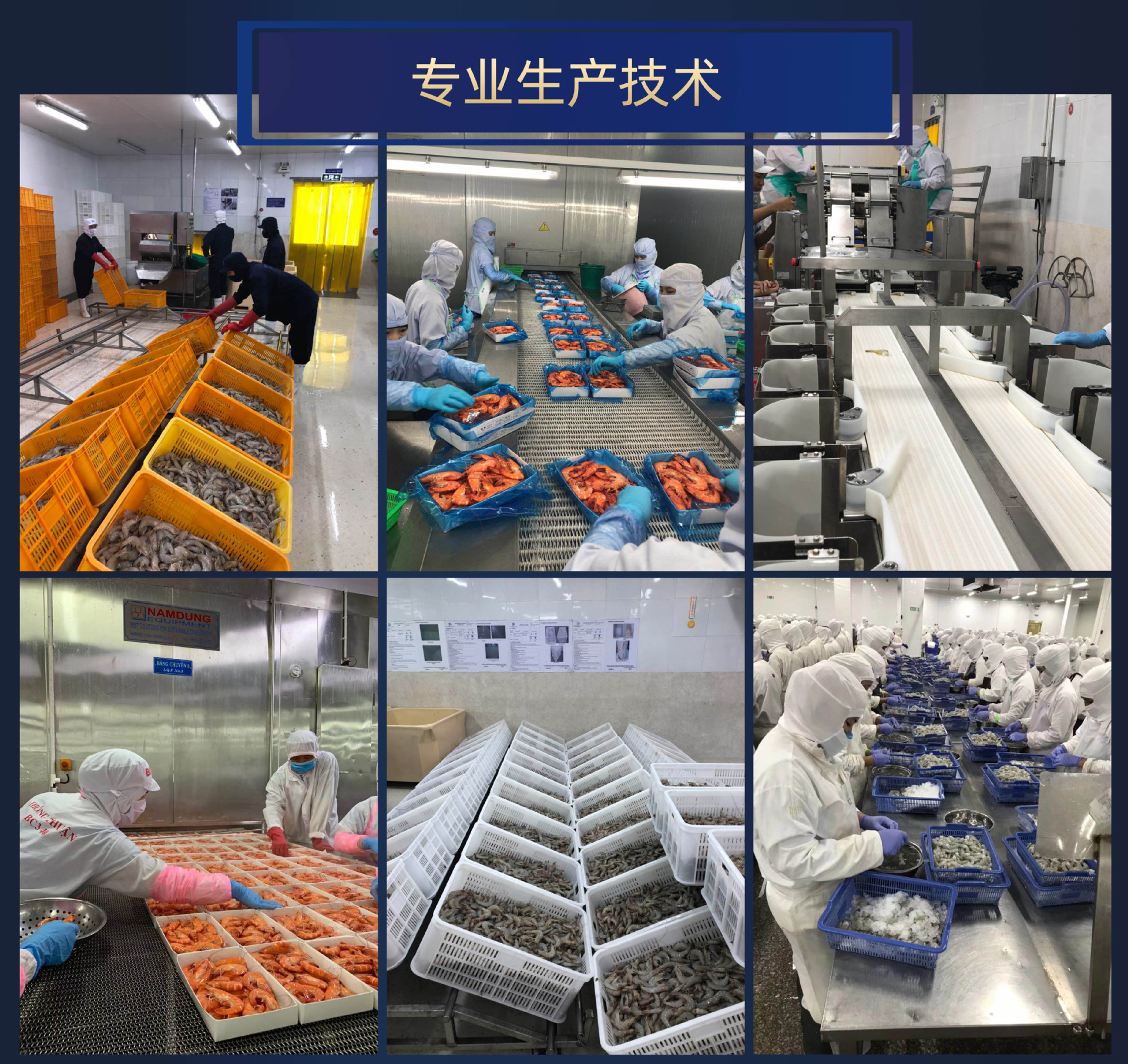 专业生产技术