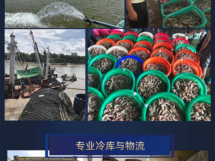 阿里详情页_04.jpg