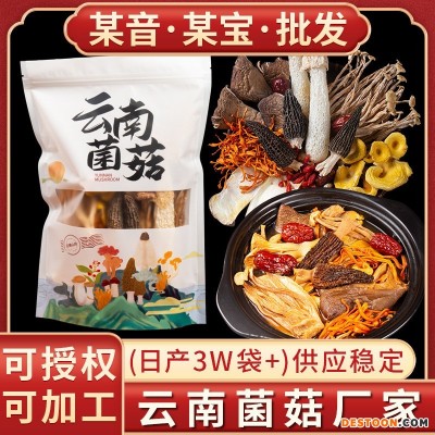 云南特产羊肚菌菇农产品干货土特产鹿茸菇虫草花七彩菌汤包厂批发