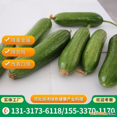 新鲜蔬菜黄瓜 菜园追施有机肥料 降重金属农残 口感清脆水分充足