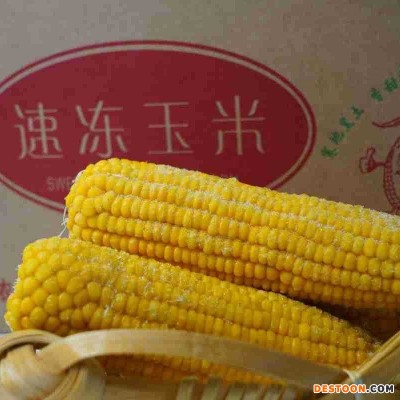 东北速冻黄玉米新鲜速冻即食厂家批发东北黄玉米批发