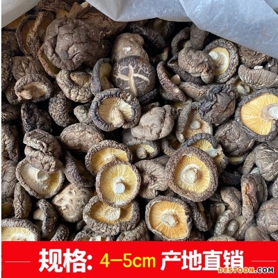 新货西峡香菇干货500g饭店餐饮散装批发无根冬菇黄焖鸡香信香菇干