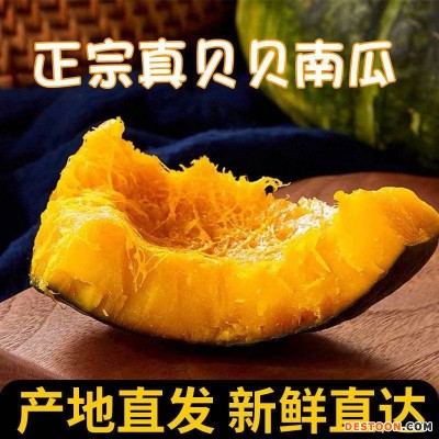 【菜鸟自有品牌】贝贝南瓜