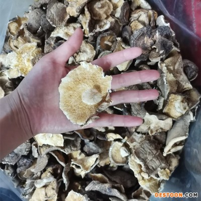 无熏硫大香菇批发 干香菇农产品散装河南破损香菇 干香菇干货冬菇