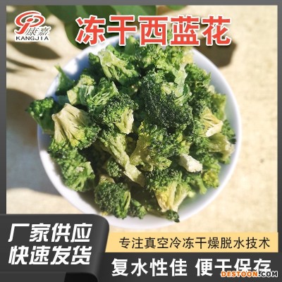 脱水蔬菜干冻干西蓝花FD西蓝花真空冷冻干燥西蓝花干厂家直供
