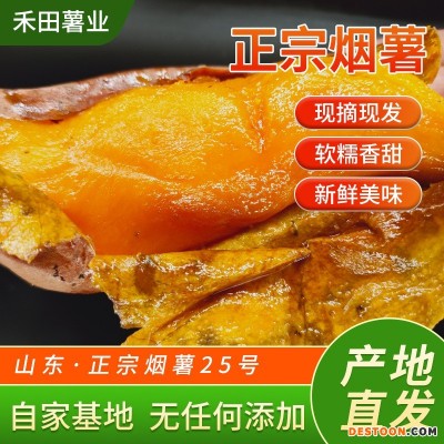 《烤薯规格》烟薯25号蜜薯糖心红薯新鲜番薯农家自种沙地唐山地瓜