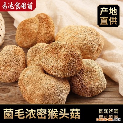 猴头菇干货农家食用菌菇猴头菇7kg福建特产菌菇煲汤料食材批发