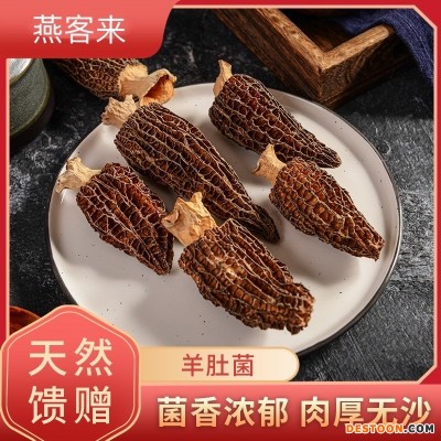 羊肚菌新鲜剪脚云南香格里拉特产干货滋补品火锅煲汤料厂家批发