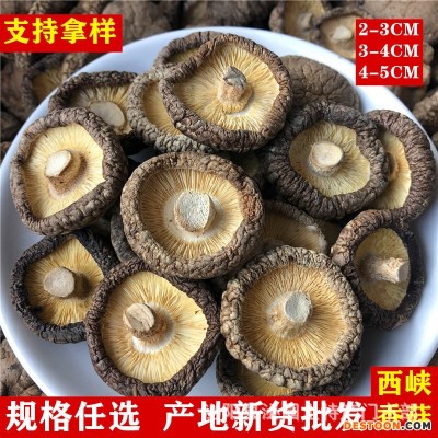 新货西峡香菇干货500g饭店餐饮散装批发无根冬菇黄焖鸡花菇香菇干