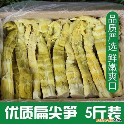 临安 半鲜笋天目扁尖笋新鲜笋盐渍笋半干笋嫩笋5斤箱装厂家销批发