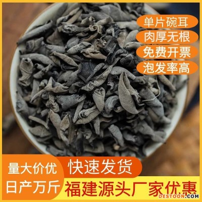 工厂直销福建农家黑木耳秋木耳 野深山木耳 农产品干货木耳小碗耳