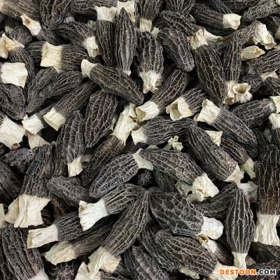 云南深山头茬大号羊肚菌干货 剪柄细纹特产食用菌菇类煲汤料滋补