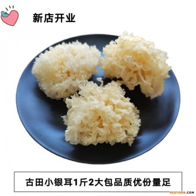 古田县小银耳干货500g特产白木耳雪耳糯耳福建食用农产品