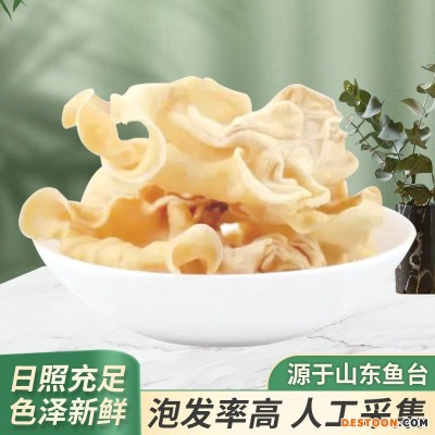 色泽新鲜肉厚白木耳商用 螺蛳粉日式拉面配料2kg整箱白木耳批发