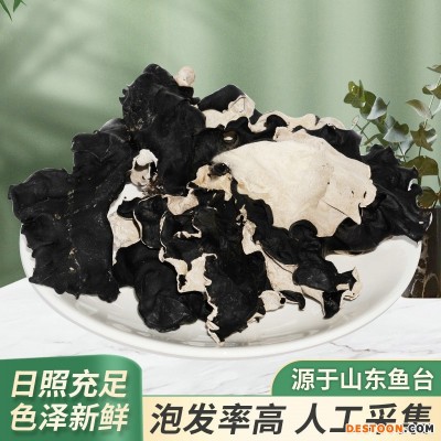 散装干货高泡发白背毛木耳 色泽新鲜厚脆木耳2kg头茬毛木耳批发