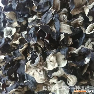 木耳碎干货批发 无泥沙无杂快餐汤料胡辣汤用精选木耳碎
