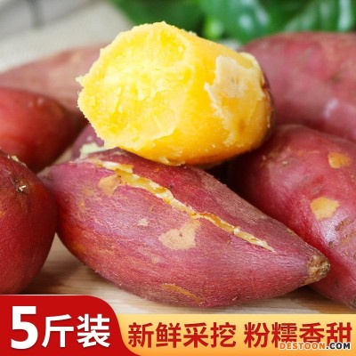 红薯正宗临安天目山小香薯10斤农产品一件代发蜜薯紫薯地瓜番薯