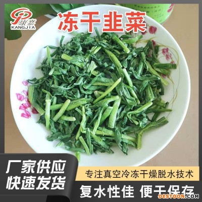脱水蔬菜干冻干韭菜FD韭菜真空冷冻干燥韭菜干厂家直供