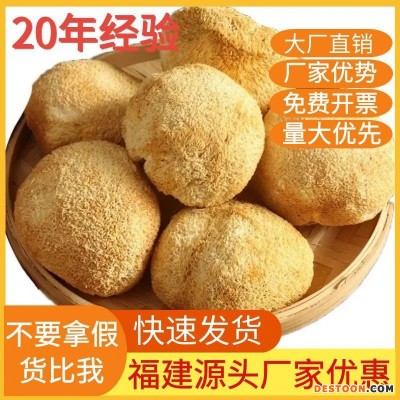 产地直销古田猴头菇干货散装批发产地直销猴头菇500g食用菌批发发