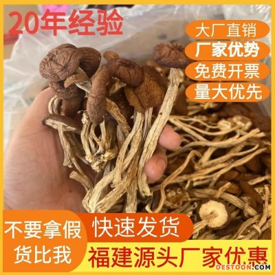福建古田干茶树菇不开伞干货菌菇500g袋装茶薪菇食用菌菇产地批发