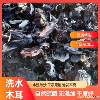 白背木耳小木耳水洗去沙无渣干度好规格多选山东小木耳白背木耳