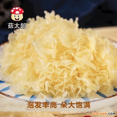 大花银耳食用菌干货银耳羹出胶易煮特产厂家批发商用