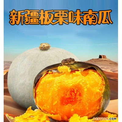 新疆银皮板栗老南瓜9斤新货原味粉糯香甜应季新鲜蔬菜瓜批发代发