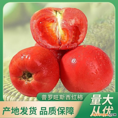 批发一件代发新鲜蔬菜沙瓤生吃自然熟水果番茄草莓普罗旺斯西红柿