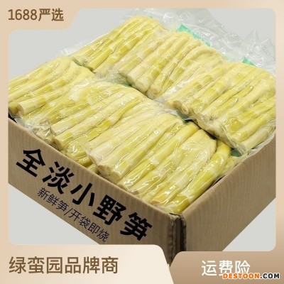 笋尖火锅麻辣烫竹笋尖尖500g新鲜笋小春笋真空袋装竹笋批 发商用