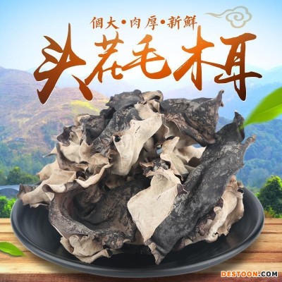 福建头茬毛木耳白背木头毛木耳干货木耳丝素食厂原料