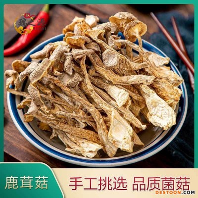 鹿茸菇鹿茸菌干货云南特产食用菌菌菇山珍礼盒送礼菌汤包产地批发