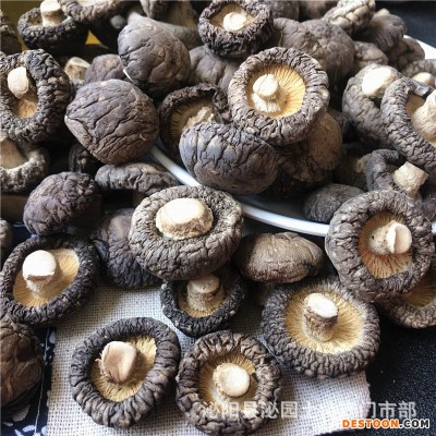 西峡香菇干货500g产地直发冬厚菇薄菇香信批发散装香菇干剪脚新货