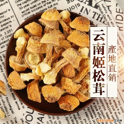 云南姬松茸定制
