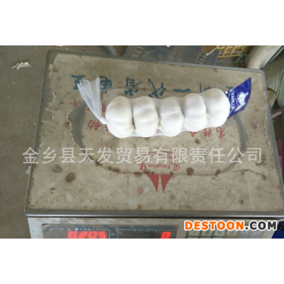 优质金乡纯白大蒜 质优价廉 欢迎询价