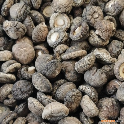 湖北特产 产地直销 剪脚香菇香信手选面菇各种规格齐全
