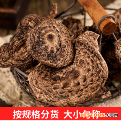 云南特产干货蘑菇煲汤食材酒店用品250g一件厚肉代皮黑虎掌菌批发
