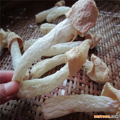 青川高山竹荪 竹荪 长裙 嫩荪 干货 竹笙竹荪蛋 食用菌批发
