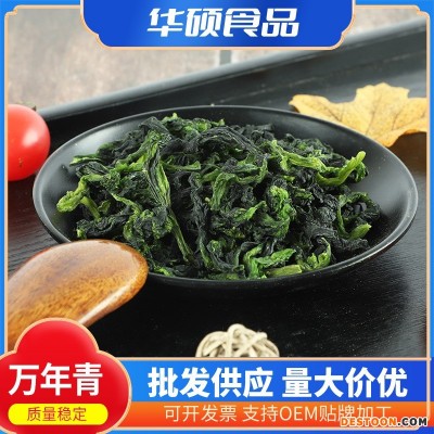厂家供应脱水万年青脱水菜心菜干 万年青干万年青菜干