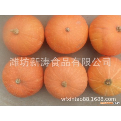 保鲜南瓜出口台湾潍坊新涛食品（基地种植、厂家直供）