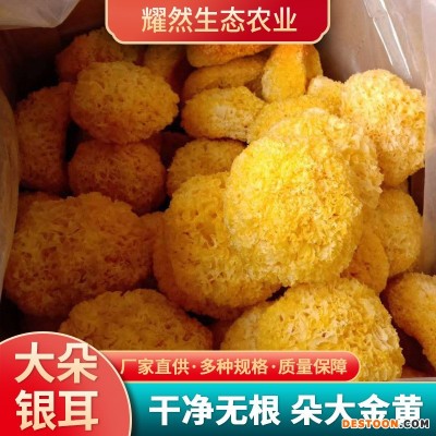 银耳100g大花干货批发 小包装袋白木耳 食用农产品银耳